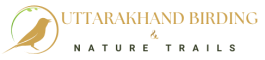 Uttarakhand Birding